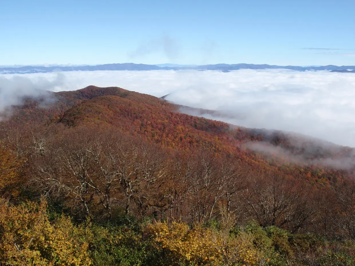 From near the summit, rust-and-gold fall forest slopes down into a sea of white clouds, with blue mountain ridges on the far horizon.