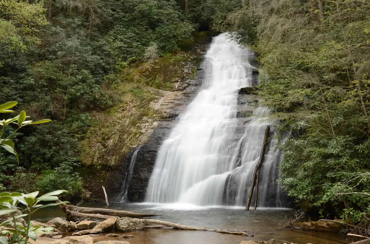 Long-exposure view of Helton Creek Falls sliding in a smooth white sheet over a rock face into a pool, surrounded by green forest and rhododendron.