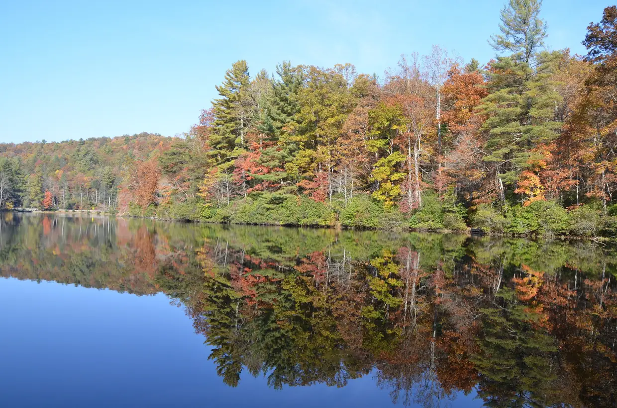 Lake Winfield Scott reflecting a shoreline of orange, gold and green fall trees and evergreens under a clear blue sky.